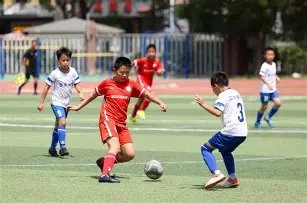 欧阳纤彩迷,秘籍,双色球,上海体彩,上海体彩网,上海体彩网官网,体育彩票,体彩大乐透,竞彩足球,体彩公益