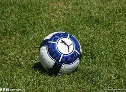 老杨彩坛秘,马年双色球,期大奖预测,上海体彩,上海体彩网,上海体彩网官网,体育彩票,体彩大乐透,竞彩足球,体彩公益