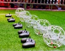 心泉独占,期号码盛宴,来袭,上海体彩,上海体彩网,上海体彩网官网,体育彩票,体彩大乐透,竞彩足球,体彩公益