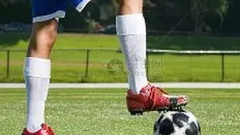 26055期大乐透专家推荐：质合分析跨度预测168