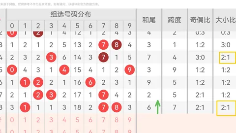 2026年福彩3第26145期深度解析：精神指南避雷要点
